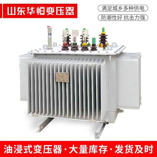 S13-10000/35久治久治久治电力变压器